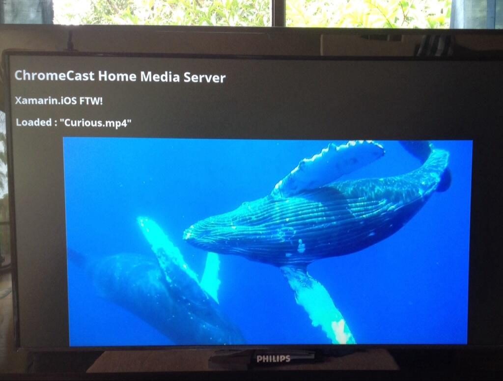 whale_on_tv